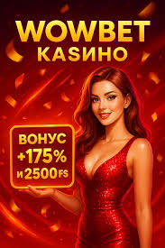Бонус на Wowbet как его получить и использовать