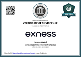 Exness Mt5 For Your Mac A Complete Guide Exness Mt5 For Your Mac A Complete Guide